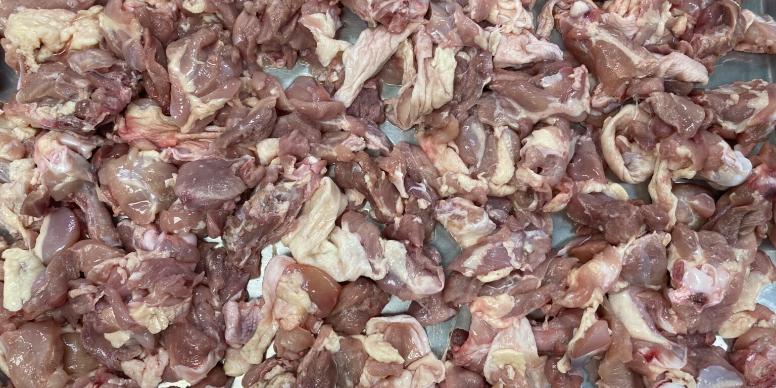 A large quantity of raw, chopped chicken pieces—ideal for pet food operations consulting—spread out on a metal tray.